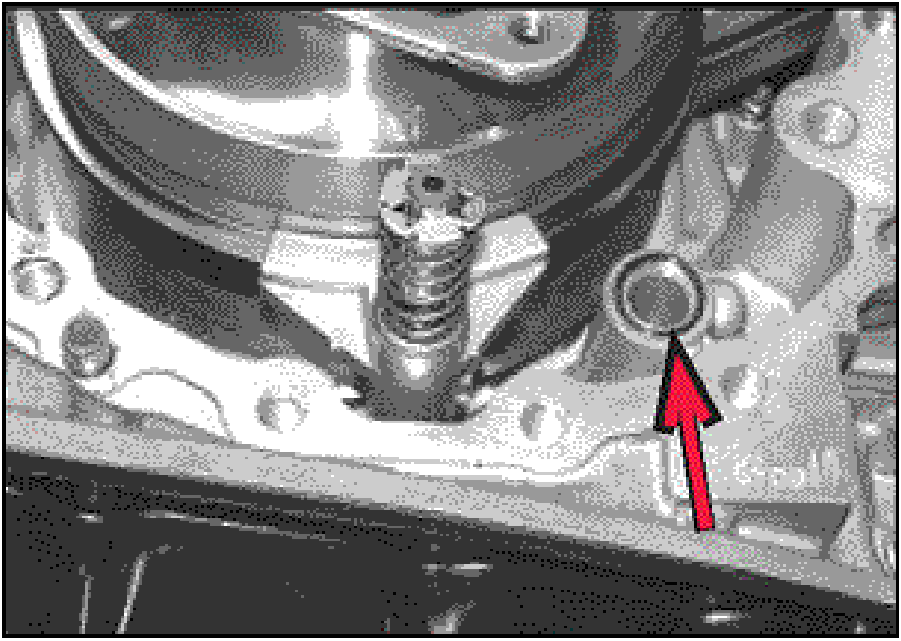 520065657_graphic-text253